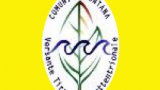 logo comunita montana cinquefrondi