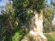 cappella di sant'elia - abside vista da sud