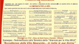 il manifesto della giornata della vita