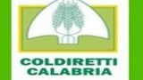 coldiretti calabria logo