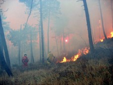 incendio boschivo