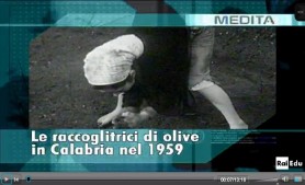 doc rai raccoglitrici olive 1959