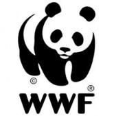 wwf logo