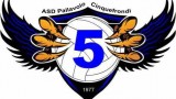 logo pallavolo cinquefrondi