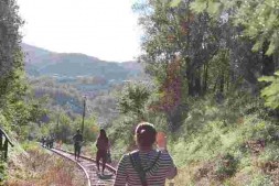 marcia del treno3