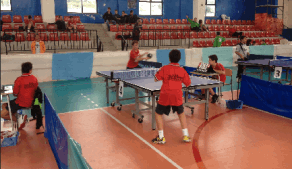 tennis tavolo cinquefrondi