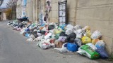 rifiuti per strada