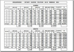 cinquefrondi votanti elezioni politiche 2013