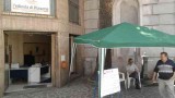 gazebo mostra 2013