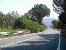 sgc alberi sul ciglio