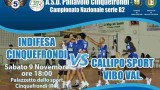 indifesa vs callipo