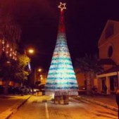 albero natale condofuri
