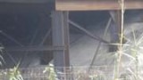 Foto Viadotto Gallico2
