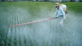 pesticidi in agricoltura