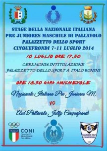 manifesto stage pre-juniores pallavolo 2014