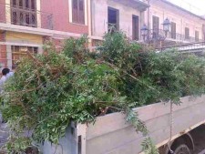 san rocco camion con stinchi