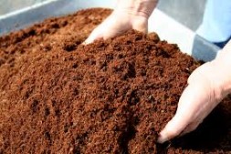 compost