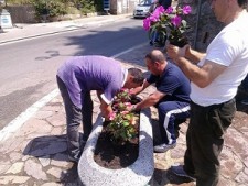 volontari all'opera a cinquefrondi